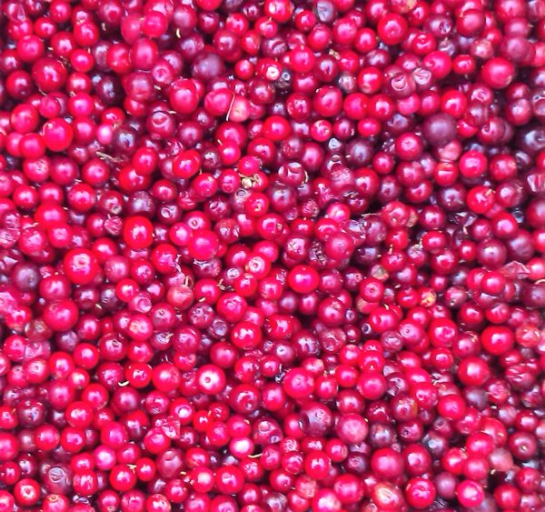 Клюква дикая с/м, 1кг