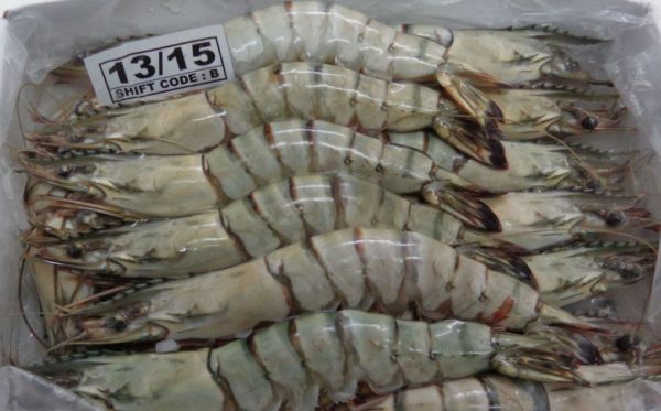 Тигровые креветки с/г 13/15