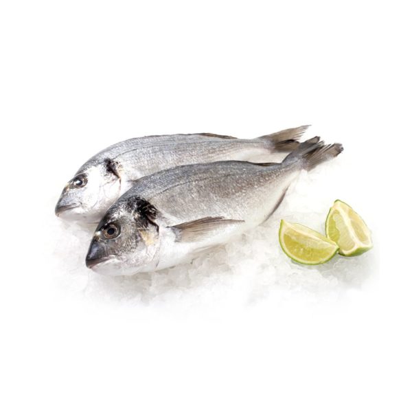 Дорадо с/м 300-400 Дорадо с/м 300-400