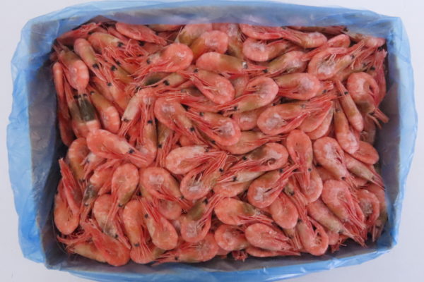 Креветка северная в/м с/г 90/120, 5кг Креветка северная в/м с/г 90/120, 5кг
