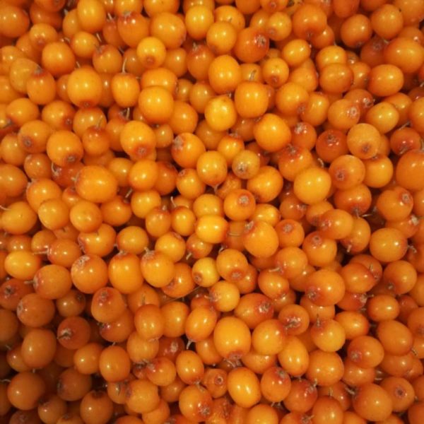 Облепиха с/м, 0,5кг